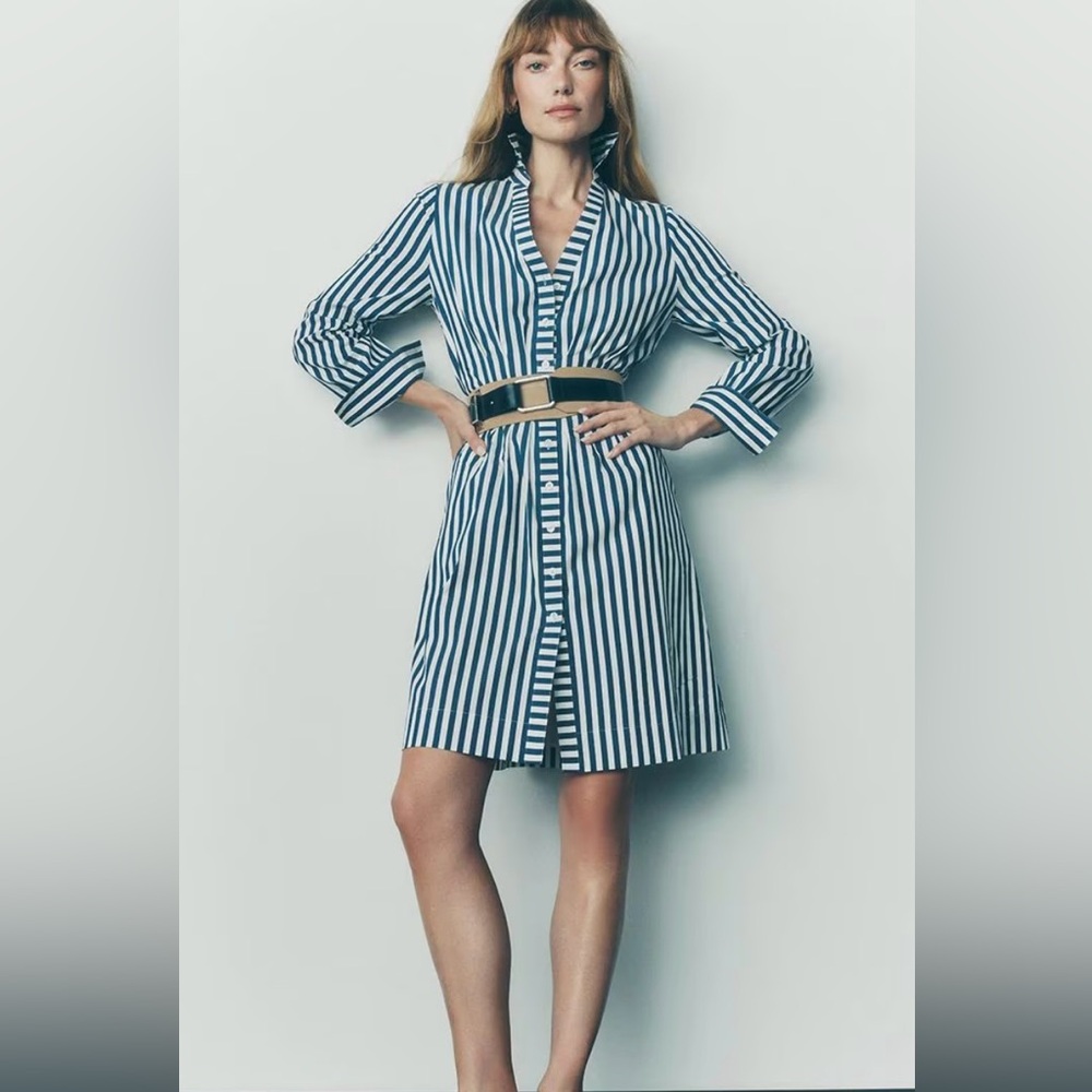 White House Black Market Blue and White Striped Long Sleeve Dress